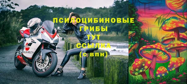 spice Абинск