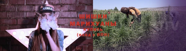 apvp Абаза
