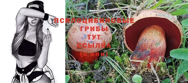 apvp Абаза