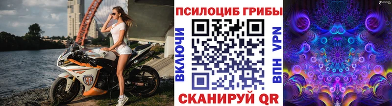 hydra как зайти  Хабаровск  Галлюциногенные грибы мицелий 